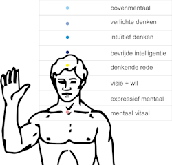 Mentaal.png